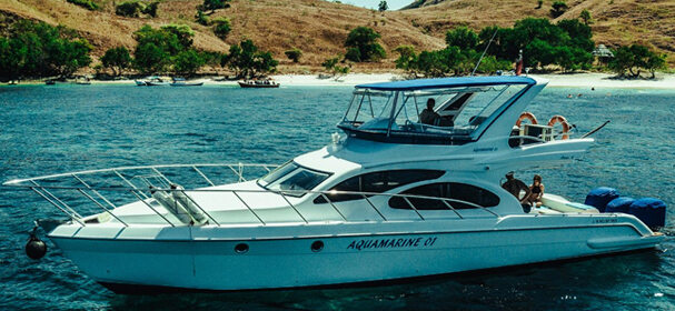 Aquamarine 49